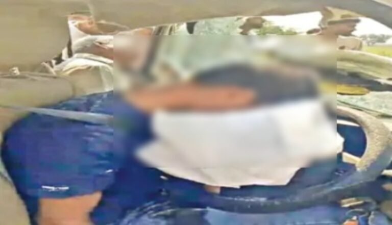 सड़क किनारे खड़े ट्रक से टकराई सरकारी