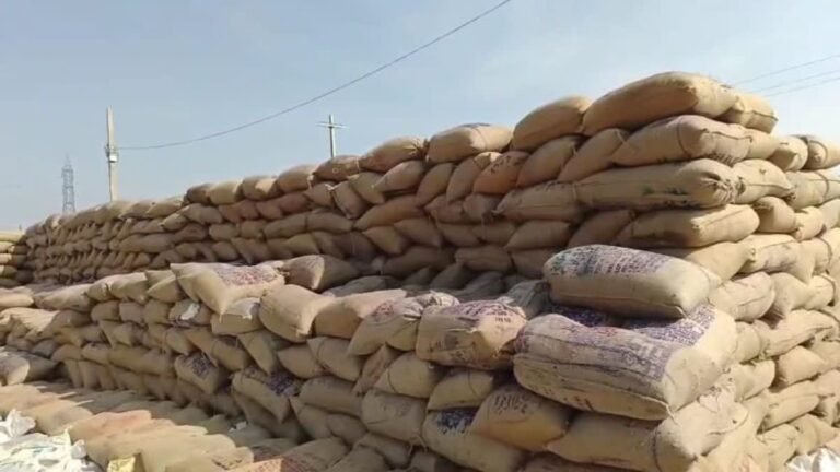 चूहा खा गए 7 करोड़ का धान, अब घोटाले में