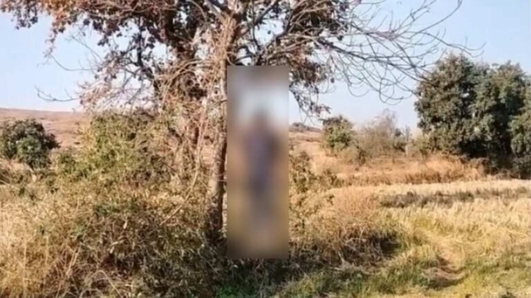 नहर किनारे पेड़ से लटककर अज्ञात युवक ने
