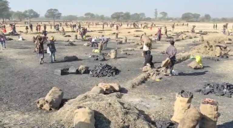 अमेरा खदान से बड़े पैमाने पर कोयले की चोरी, SECL