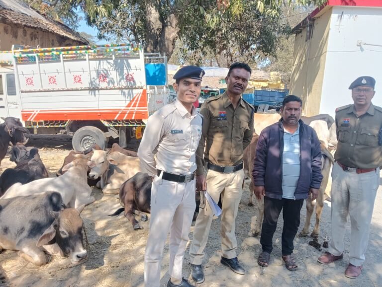 बुचड़खाने ले जाए जा रहे 32 मवेशी मुक्त, तस्कर