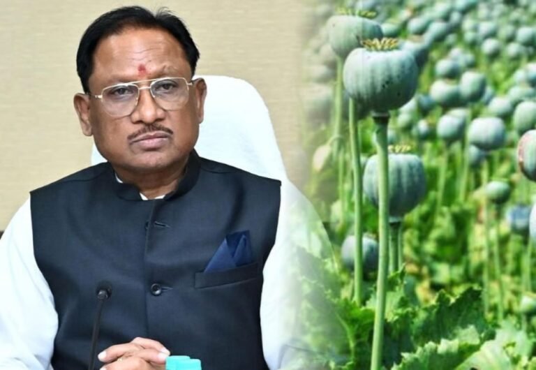 छत्तीसगढ़ में अवैध अफीम खेती पर सख्त