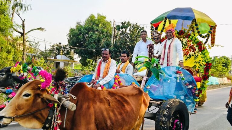 बैलगाड़ी पर सवार होकर बारात पहुंचे