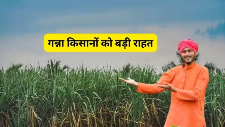 गन्ना किसानों को बड़ी राहत, 5.97 करोड़ का भुगतान